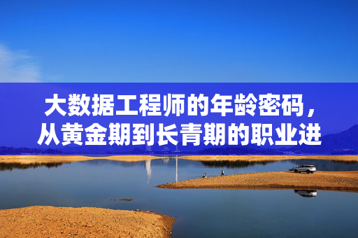 大数据工程师的年龄密码，从黄金期到长青期的职业进化，大数据工程师的年龄密码，黄金期到长青期的职业进化