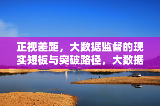 正视差距，大数据监督的现实短板与突破路径，大数据监督的现实短板与突破路径