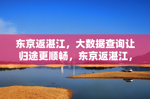东京返湛江，大数据查询让归途更顺畅，东京返湛江，大数据助力归途更顺畅