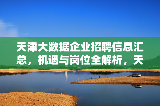 天津大数据企业招聘信息汇总，机遇与岗位全解析，天津大数据企业招聘信息汇总，机遇与岗位全解析