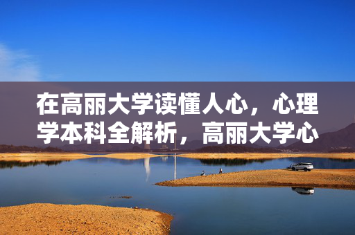 在高丽大学读懂人心,心理学本科全解析,高丽大学心理学本科,读懂人心的全解析