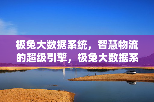 极兔大数据系统，智慧物流的超级引擎，极兔大数据系统，智慧物流的超级引擎
