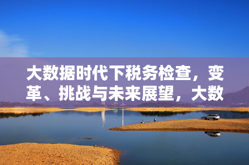 大数据时代下税务检查，变革、挑战与未来展望，大数据时代税务检查，变革、挑战与未来展望