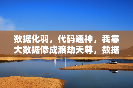 数据化羽，代码通神，我靠大数据修成渡劫天尊，数据化羽，代码通神，大数据渡劫天尊