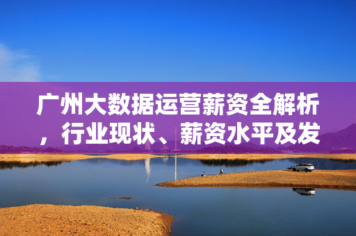 广州大数据运营薪资全解析，行业现状、薪资水平及发展前景，广州大数据运营薪资全解析，现状、水平与前景