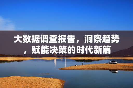大数据调查报告，洞察趋势，赋能决策的时代新篇