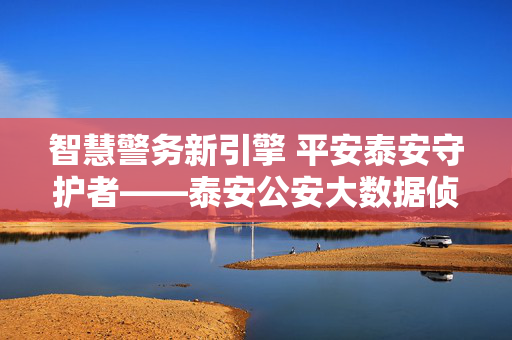 智慧警务新引擎 平安泰安守护者——泰安公安大数据侦查中心纪实，智慧警务新引擎 平安泰安守护者