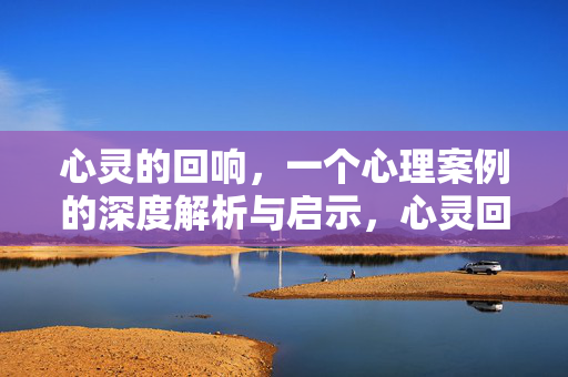 心灵的回响，一个心理案例的深度解析与启示，心灵回响，心理案例深度解析与启示
