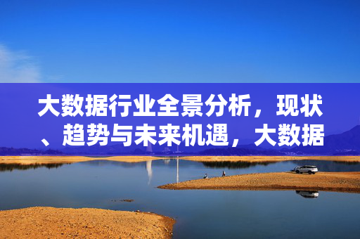 大数据行业全景分析,现状、趋势与未来机遇,大数据行业全景,现状、趋势与未来机遇