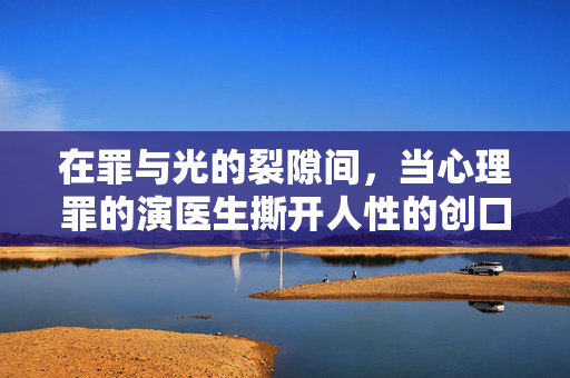 在罪与光的裂隙间，当心理罪的演医生撕开人性的创口，罪光裂隙，心理罪演医生撕开人性创口