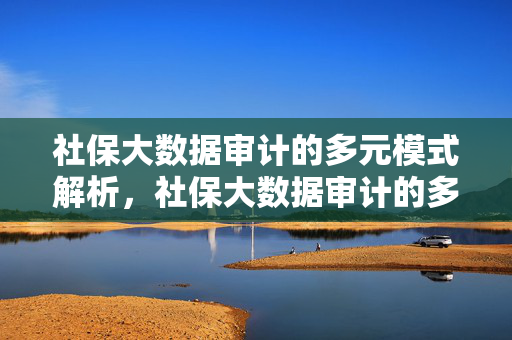 社保大数据审计的多元模式解析，社保大数据审计的多元模式解析