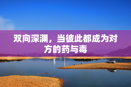 双向深渊，当彼此都成为对方的药与毒