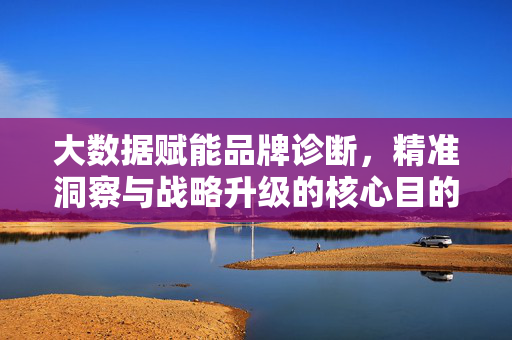 大数据赋能品牌诊断，精准洞察与战略升级的核心目的，大数据赋能品牌诊断，精准洞察与战略升级的核心目的
