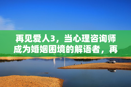 再见爱人3,当心理咨询师成为婚姻困境的解语者,再见爱人3,心理咨询师,婚姻困境的解语者