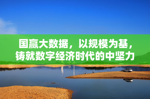 国赢大数据，以规模为基，铸就数字经济时代的中坚力量，国赢大数据，以规模为基，铸就数字经济中坚力量