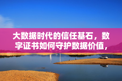 大数据时代的信任基石，数字证书如何守护数据价值，数字证书，大数据时代的信任基石与数据价值守护