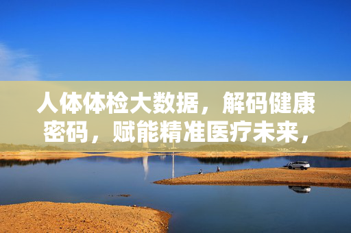 人体体检大数据，解码健康密码，赋能精准医疗未来，体检大数据解码健康密码，赋能精准医疗未来