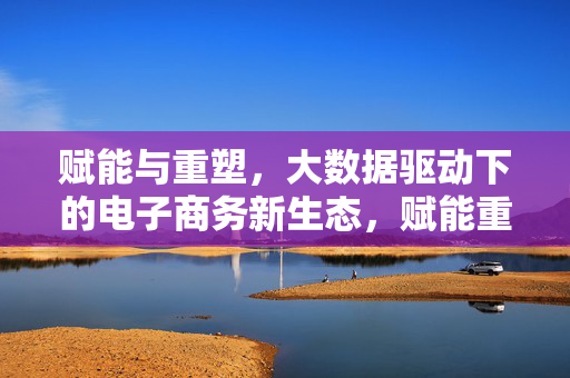 赋能与重塑，大数据驱动下的电子商务新生态，赋能重塑，大数据驱动的电子商务新生态