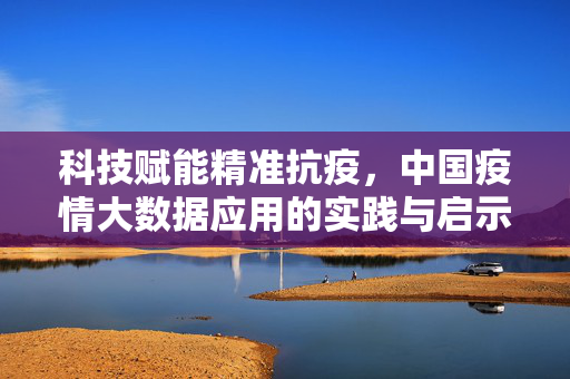 科技赋能精准抗疫，中国疫情大数据应用的实践与启示，科技赋能精准抗疫，中国疫情大数据应用的实践与启示
