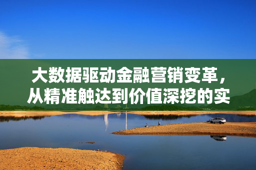 大数据驱动金融营销变革，从精准触达到价值深挖的实践案例，大数据驱动金融营销，精准触达与价值深挖的变革实践