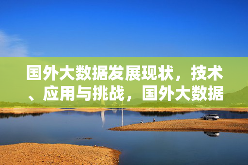 国外大数据发展现状，技术、应用与挑战，国外大数据发展现状，技术、应用与挑战