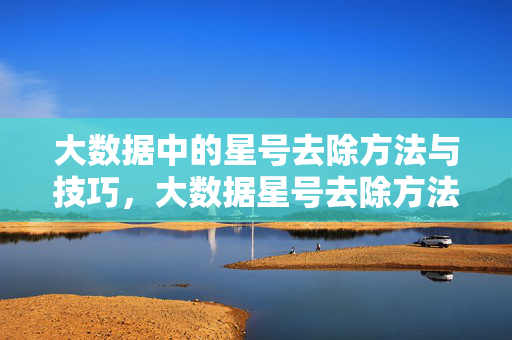 大数据中的星号去除方法与技巧，大数据星号去除方法与技巧