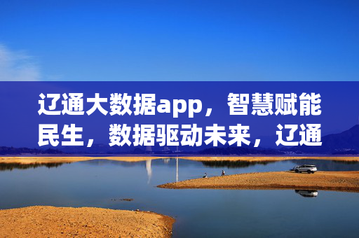 辽通大数据app，智慧赋能民生，数据驱动未来，辽通大数据app，智慧赋能民生，数据驱动未来