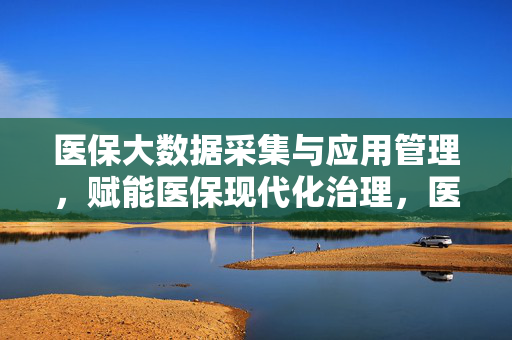 医保大数据采集与应用管理，赋能医保现代化治理，医保大数据采集与应用管理赋能现代化治理