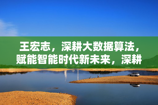 王宏志，深耕大数据算法，赋能智能时代新未来，深耕大数据算法，王宏志赋能智能时代新未来