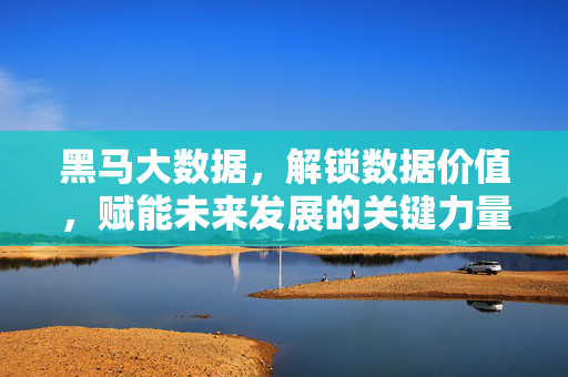 黑马大数据，解锁数据价值，赋能未来发展的关键力量，黑马大数据，解锁数据价值，赋能未来的关键力量