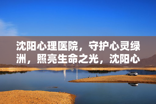 沈阳心理医院，守护心灵绿洲，照亮生命之光，沈阳心理医院，守护心灵绿洲，照亮生命之光