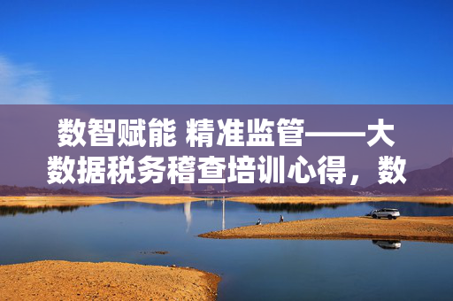 数智赋能 精准监管——大数据税务稽查培训心得，数智赋能 精准监管，大数据税务稽查心得