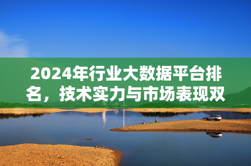 2024年行业大数据平台排名，技术实力与市场表现双维度解析，2024年行业大数据平台排名，技术实力与市场表现双维度解析