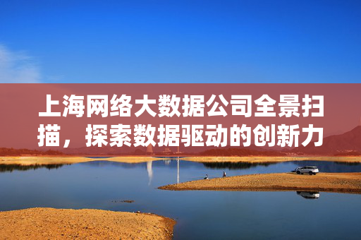 上海网络大数据公司全景扫描，探索数据驱动的创新力量，上海网络大数据全景扫描，数据驱动的创新力量