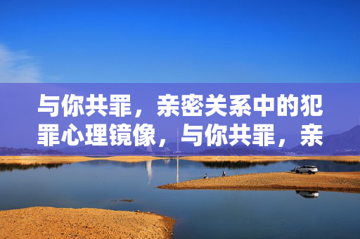 与你共罪，亲密关系中的犯罪心理镜像，与你共罪，亲密关系中的犯罪心理镜像