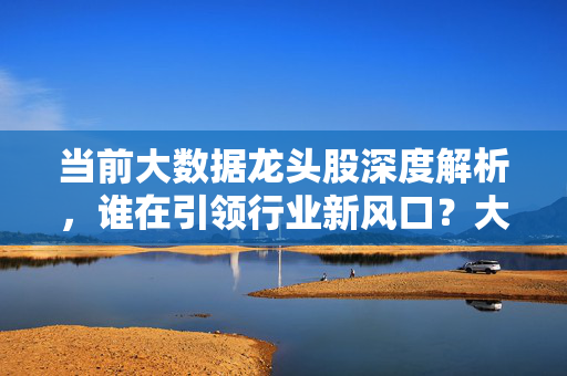 当前大数据龙头股深度解析，谁在引领行业新风口？大数据龙头股，谁引领行业新风口？