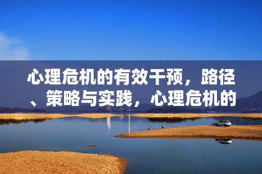 心理危机的有效干预，路径、策略与实践，心理危机的有效干预，路径、策略与实践