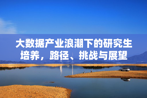 大数据产业浪潮下的研究生培养，路径、挑战与展望