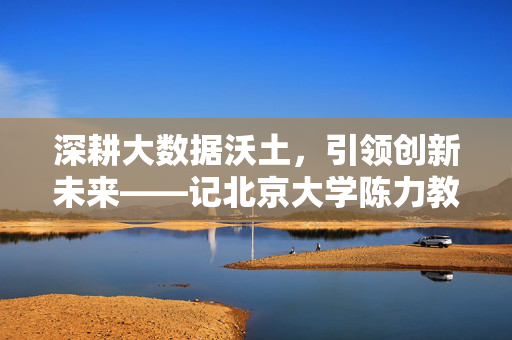 深耕大数据沃土，引领创新未来——记北京大学陈力教授，陈力教授，深耕大数据沃土 引领创新未来