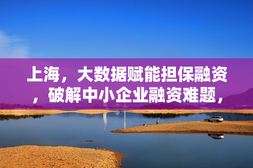 上海，大数据赋能担保融资，破解中小企业融资难题，上海，大数据赋能担保融资 破解中小企业融资难题