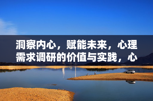 洞察内心，赋能未来，心理需求调研的价值与实践，心理需求调研，洞察内心，赋能未来