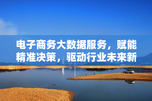 电子商务大数据服务，赋能精准决策，驱动行业未来新引擎，电子商务大数据服务赋能精准决策，驱动行业未来新引擎