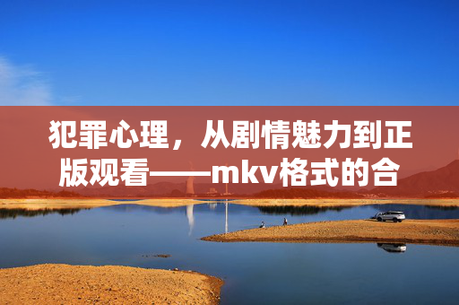 犯罪心理，从剧情魅力到正版观看——mkv格式的合法获取之道，犯罪心理mkv格式的合法获取之道