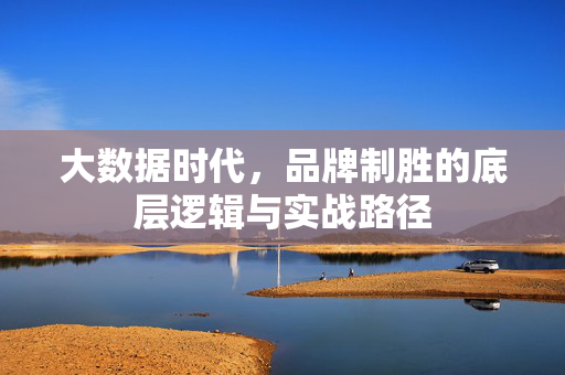 大数据时代，品牌制胜的底层逻辑与实战路径