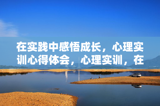 在实践中感悟成长，心理实训心得体会，心理实训，在实践中感悟成长
