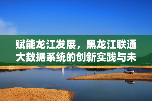 赋能龙江发展，黑龙江联通大数据系统的创新实践与未来展望，黑龙江联通大数据，赋能龙江发展的创新实践与展望