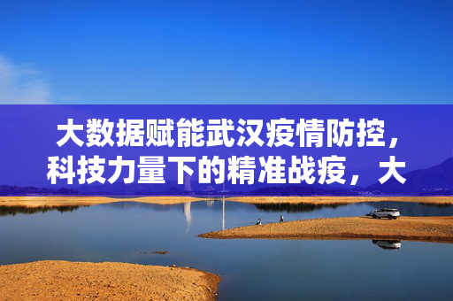 大数据赋能武汉疫情防控，科技力量下的精准战疫，大数据赋能武汉精准战疫