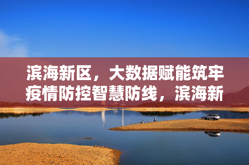 滨海新区，大数据赋能筑牢疫情防控智慧防线，滨海新区，大数据赋能筑牢疫情防控智慧防线