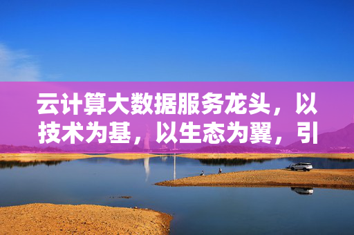 云计算大数据服务龙头，以技术为基，以生态为翼，引领数字经济新纪元，云计算大数据龙头，技术筑基生态为翼，领航数字经济新纪元