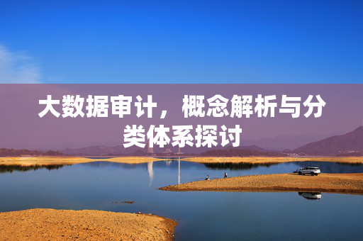 大数据审计，概念解析与分类体系探讨